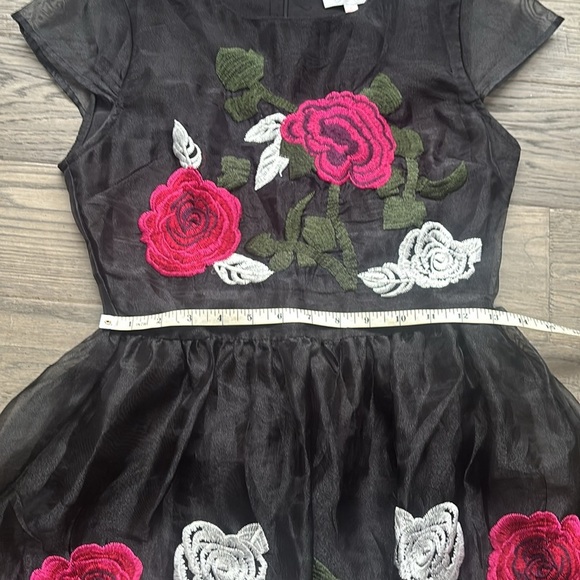 L’atiste | By Amy Floral Embroidered Dress - Black and Pink Size Small - Picture 8 of 14